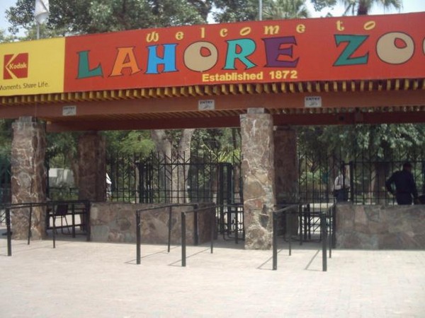 5 Famous Places To Visit In Lahore - Lahore Zoo