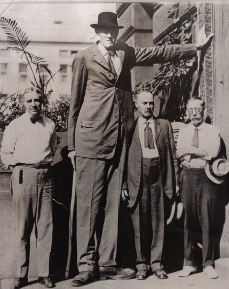 10 Tallest Men Ever See In This World