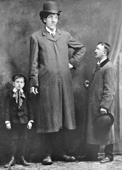 10 Tallest Men Ever See In This World