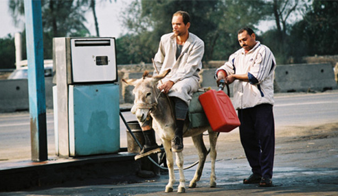 20 Most Funny Photos Ever Seen On Internet - Petrol Needs For Riding