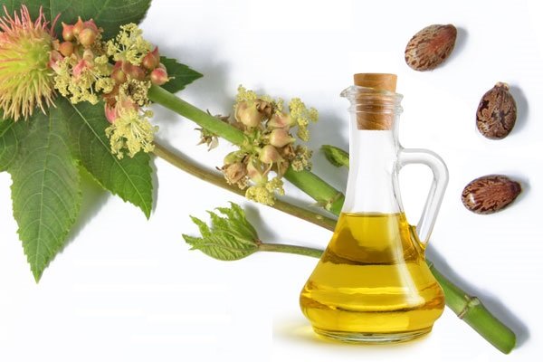 13 Amazing Benefits Of Castor Oil-Castor Oil Can Well Enhance Your Immunity Level