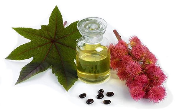 13 Amazing Benefits Of Castor Oil-This Oil Act As A Laxative For You
